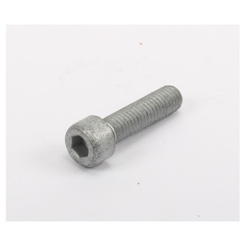 Tornillo para colector de admisión 16S - GC20532