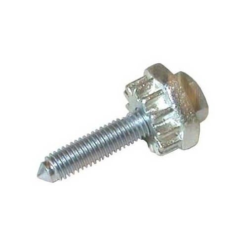 Tornillo tensor para correa de alternador