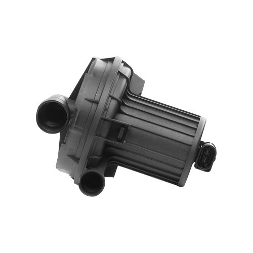 RIDEX Sekundärluftpumpe für Volkswagen Golf 5 1.6 - GC44402