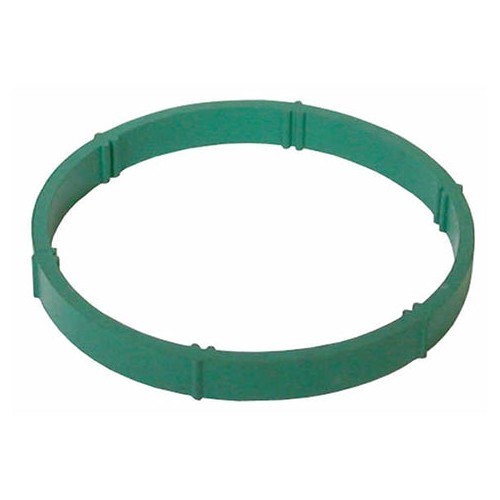  Intake gasket for Seat Leon 1M - GC70138 