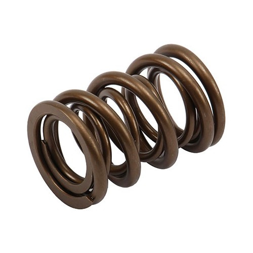     
                
                
    Double valve spring CAT CAMS (GOLD) for VW - GD21020
