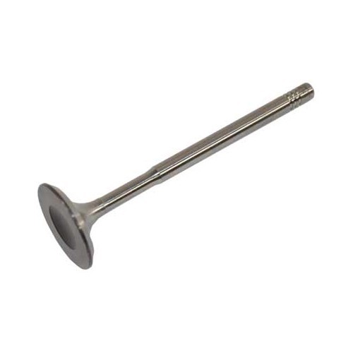 1 intake valve: 29.5 x 6 x 100.9mm - GD22856