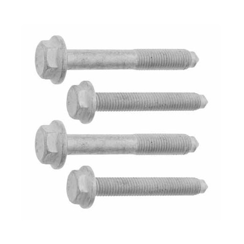 Kit de 4 tornillo de fijación para triángulos de Golf 2