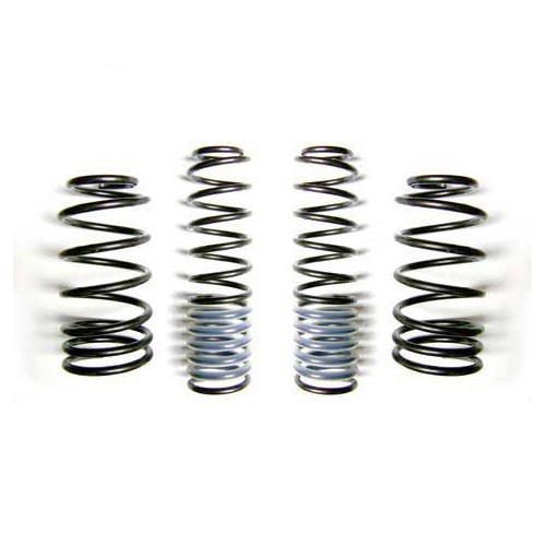  EIBACH short springs for Golf 4  - GJ53705 