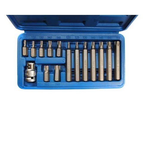  Juego de puntas de tornillo Torx - GO06800 