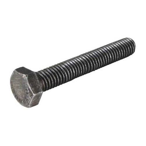  1 Tornillo 8 x 50 de soporte de parachoques para Combi - KA21016 