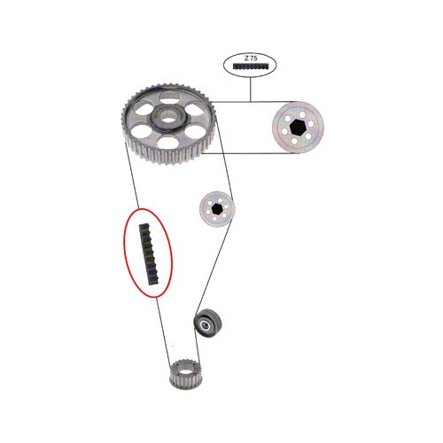 Correa de distribución para VW LT 2.4D - KD30001