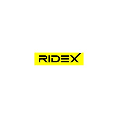  Stoßdämpfer hinten RIDEX für VW Transporter T5 - KJ50855 