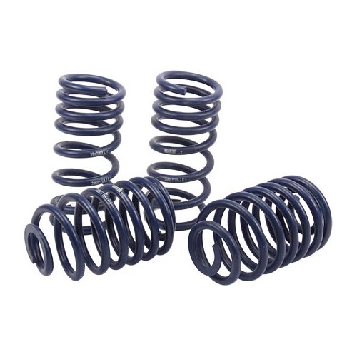  Kit of short springs -45 mm H&R for Transporter 79 -> 92 - KJ52804 