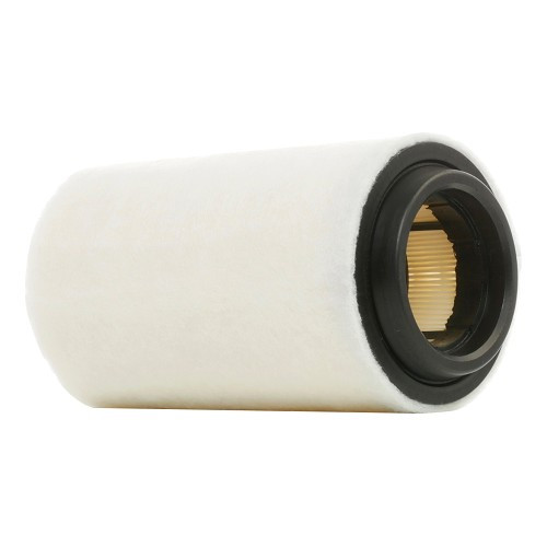  Ridex luchtfilter voor Mini R56 en R57 (05/2009-05/2015) - MC45313 