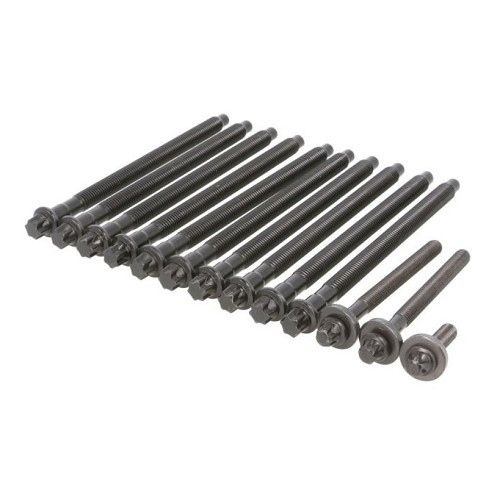  Cylinder head bolts for Mini III (10/2005-10/2016)  - MC80001 