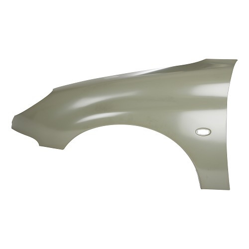  Left front fender for Peugeot 206 XS, 206 S16 and 206 RC - PE50058 