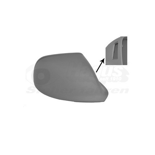  Wing mirror cover for AUDI Q5, Q7 - RE00234 