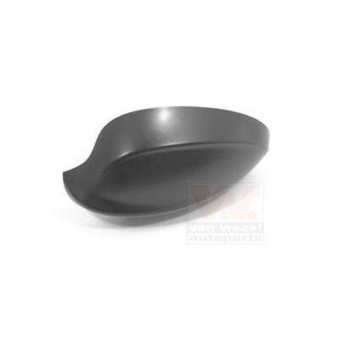  Wing mirror cover for BMW 3, 3 Touring - RE00336 