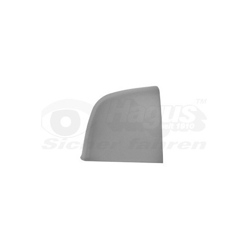  Coque de rétroviseur extérieur pour FIAT, OPEL - RE00524 