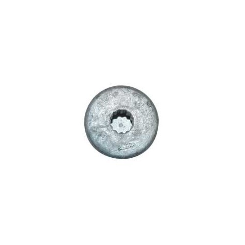 Rear brake disc plug screw for Porsche Cayenne - RS13192