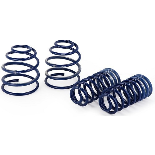  Eibach short springs for Porsche 996 C2 (1998-2005) - RS13462 