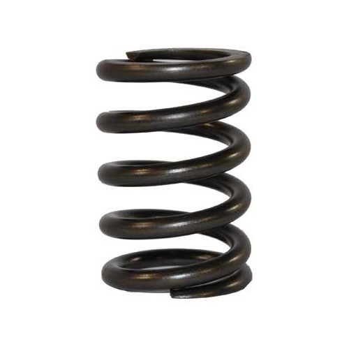 Valve spring for Porsche 914-4 - RS25004