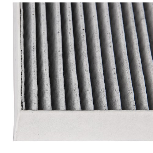 RIDEX cabin filter for Porsche Panamera type 970 (2010-2016) - RS98013