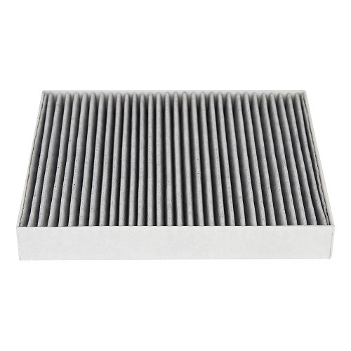     
                
                
    RIDEX cabin filter for Porsche Panamera type 970 (2010-2016) - RS98013
