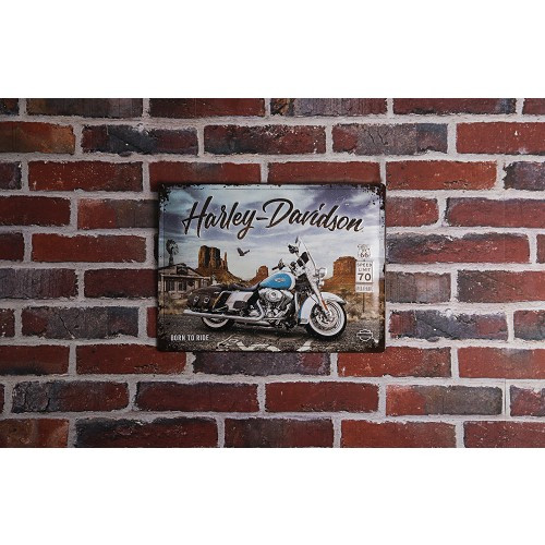 Dekoratives Metallschild HARLEY DAVIDSON ARIZONA - 30 x 40 cm - UF01483