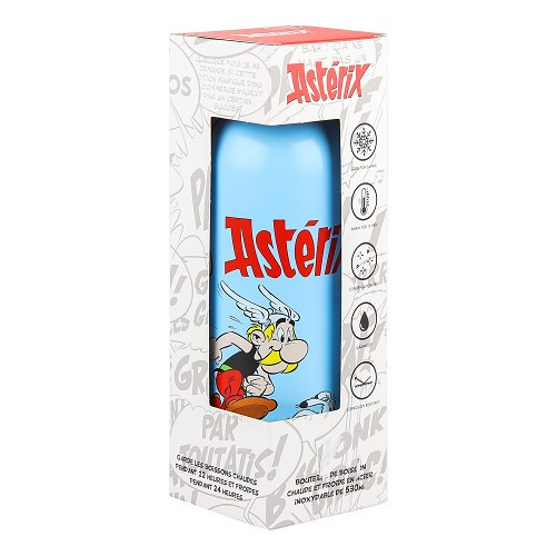Asterix insulated water bottle 530ml - UF01725