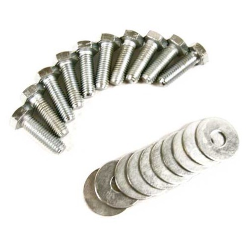Screw set for 1 Beetle wing (bolts and washers)