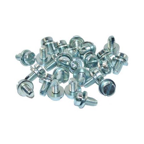 Screws and washers on engine plates for Volkswagen Beetle and Combi - set of 25