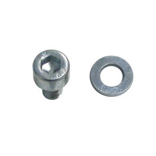 BTR screws and washers for mounting Beetle engine plates 