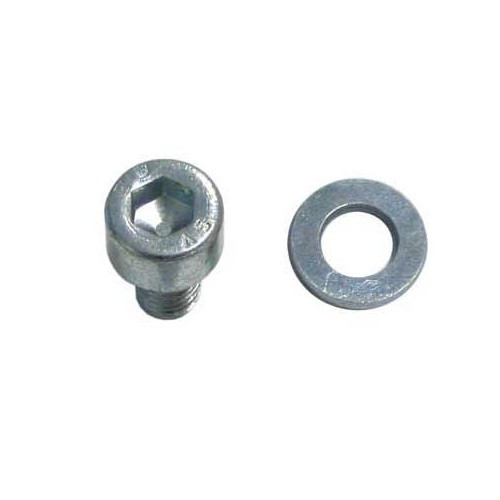     
                
                
    BTR screws and washers for mounting Beetle engine plates  - VC60604
