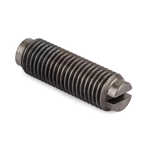  1 Tornillo de balancín diámetro 8 - VD25800 