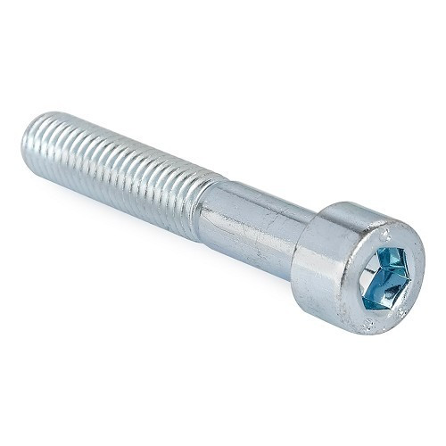  Hollow hexagonal socket head cap screws DIN 912 - M10 x 60 - VI10131 