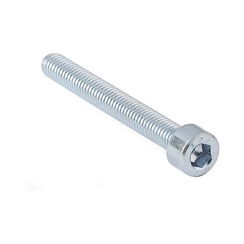     
                
                
    Hollow hexagonal socket head cap screws DIN 912 - M6 x 50 / 50 - VI10141
