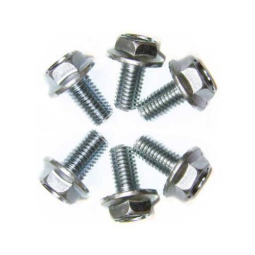     
                
                
    Clutch mechanism screws for Type 1 motor - set of 6 - VS35104
